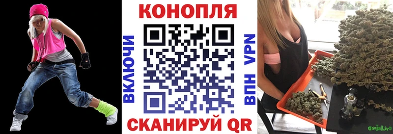 Где купить наркоту Новосиль КОКАИН  АМФ  ГАШ  A PVP 