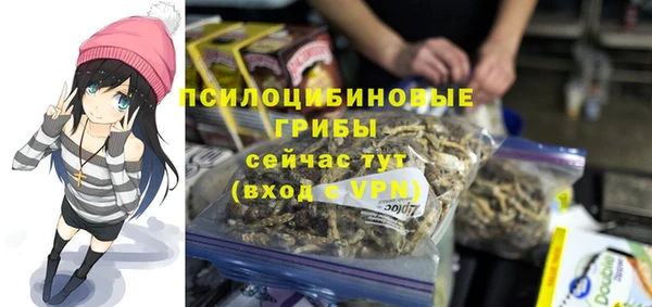 мескалин Богданович